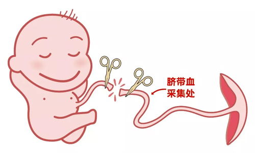 未标题-1.jpg